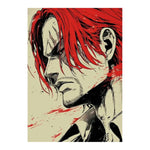 Shanks il Rosso Art | VP Display